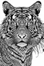 Placeholder: tiger face tattoo, coloring page, clean line art, adults drawing book, Black and white only, crisp black lines, sharp lines, coloring page for adults, black and white picture, lots of details,