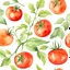 Placeholder: a single tomato in watercolors on a white background