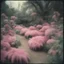 Placeholder: Strange furry garden , pink, autochrome