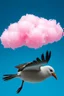 Placeholder: A pink plastic cloud floating in the bird