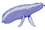 Placeholder: a drawing of a whale in acrylic paint marker style. Blue whale, white background.