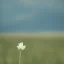 Placeholder: single long stem white flower in a field, polaroid, tender, soft focus, award winning landscape photography, nature photography, r/mostbeautiful