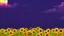 Placeholder: purple sky full of stars, sunflower field, anime