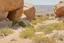 Placeholder: Sunny day, rocks, big rocks, vegetations, distant mountains, sci-fi, willem maris, and alfred stevens paintings