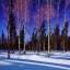 Placeholder: the most beautiful, stunning, magical winter forest surrounding reflective lake and vibrant, brilliant northern lights filling the sky, Norway, Iceland, high-quality, fine-detail, 8k resolution, photorealistic, extremely intricate, digital art, detailed matte, volumetric lighting, dynamic lighting, brian froud, howard lyon, selina french, annie stokes, lisa parker, greg rutowski