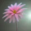 Placeholder: Lightning flower