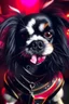 Placeholder: little dog , looks like the demon from the band KISS ,