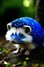 Placeholder: blue hedgehod