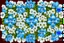 Placeholder: top view pattern of forget-me-not flowers