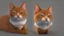 Placeholder: sassy cat see you