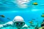 Placeholder: white,background,looking,through,ahole,a,seeing,someone,snorkelling,underwater,with,tropical,fish]