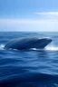 Placeholder: Blue whale in the ocean