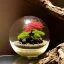 Placeholder: exquisite red maple bonsai terrarium in a glass orb, petrified wood, pebbles, dewdrops, dappled sunlight, linen backdrop