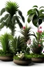 Placeholder: tecnologic orchids, palm and olives trees unnatural in a naturalistic context