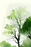Placeholder: sketch green autumn trees sky view