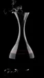 Placeholder: Elegant Wine Breathing Carafe The background is black,