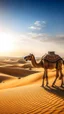 Placeholder: camel and desert