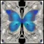 Placeholder: Lover dance of a butterfly. White jazz music meteor.