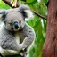 Placeholder: koala dressed like a ninja