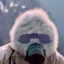 Placeholder: Yeti in a mask, background = (wildfires, mountains, fires, smoke, disaster)