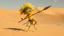 Placeholder: a funny little creature that dance in a desert, the creature is yellow and green, have big eyes and long legs, he likes to dance and jump with his spear, he ls little evil and likes to scream "Musta", and have a big mouth sharp teeth, small penis, tribal look, head dress with feathers