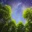 Placeholder: lush trees against a stary sky