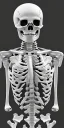 Placeholder: skeleton, top body, black and white, cactus, graphic