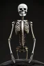 Placeholder: skeletons dressed in long black clockes standing in a circle