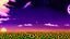 Placeholder: purple sky full of stars, sunflower field, anime, high res, makoto shinkai