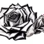 Placeholder: A rose, black & white outline art