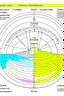 Placeholder: Elliptical stage chart with measurements in cm