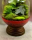 Placeholder: miniature tabletop lush fern rainforest landscape in an ornate bell jar, jungle, warm colors, highly detailed, intricate