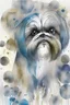 Placeholder: Abstract wet watercolour of a Shih tzu ink lines, interlinked circles,detailed focus on eyes
