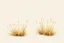 Placeholder: Isolated concept art of low poly stylized alien dry grass on a plain neutral background. Simple low-poly design with minimal details