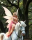 Placeholder: Beautiful princess Elf Fairy wings adorned she on riding white unicorn horse,beautiful forest giant trees oaks background