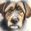 Placeholder: Colored pencil drawing. Portrait, realistic, dog, fur texture.