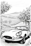 Placeholder: outline art for an adults coloring page, Vintage Jaguar E-Type Parked at a Vineyard , white background, sketch style,no color , only use outline, clean art , easy to color, white background, no shadows and clear well outlined