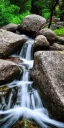 Placeholder: Water flowing in the huge rock of tree, realistic-high-definition, detailed, photography.