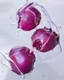 Placeholder: pomegranate fruit refraction under water