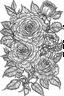 Placeholder: Outline art for coloring page, STYLISH ROSES, coloring page, white background, Sketch style, only use outline, clean line art, white background, no shadows, no shading, no color, clear