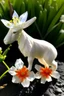 Placeholder: a gemse goat shape as a gemseroot flower
