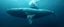 Placeholder: titanic as a whale
