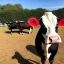 Placeholder: A cow wearing a suit and tie