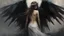 Placeholder: Dark and ethereal, the angel's black wings spread. Each wing carried with it an ancient story, a deep secret that hid in the shadows. cinematic detailed mysterious sharp focus high contrast dramatic volumetric lighting, :: mysterious and dark esoteric atmosphere :: digital matte painting by Jeremy Mann + Carne Griffiths + Leonid Afremov,, dramatic shading, detailed face