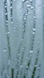 Placeholder: frost formed over glass