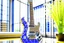 Placeholder: A lovely clear transparent resin guitar with forget-me-not design in a modern room in sunshine