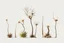 Placeholder: "Isolated concept art of multiple types of alien tree plant on a plain neutral background. Designed for Desert biome – dry, spiky, brittle grass with sharp edges, thorn-like blades, and pale dusty colors