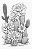 Placeholder: outline art for cute flower with cactus coloring pages with which, White background. sketch style, clean line art, white background, no shadow and clear