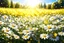 Placeholder: a pretty meadow filled with chamomile flowers with white petals and yellow hearts, yellow or gold lights effects colors, rays of the sun, highly detailed, high contrast, 8k, high definition, realistic, concept art, sharp focus