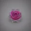 Placeholder: transparent multicolor crystal rose leaf